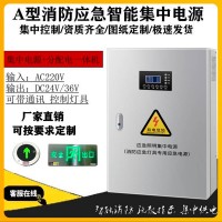 EPS消防應急照明集中電源a型配電箱300W500W1kva